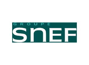 Logo Groupe Snef